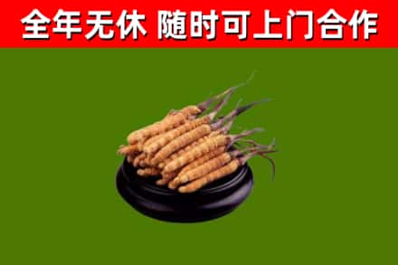 福建省烟酒回收冬虫夏草.jpg